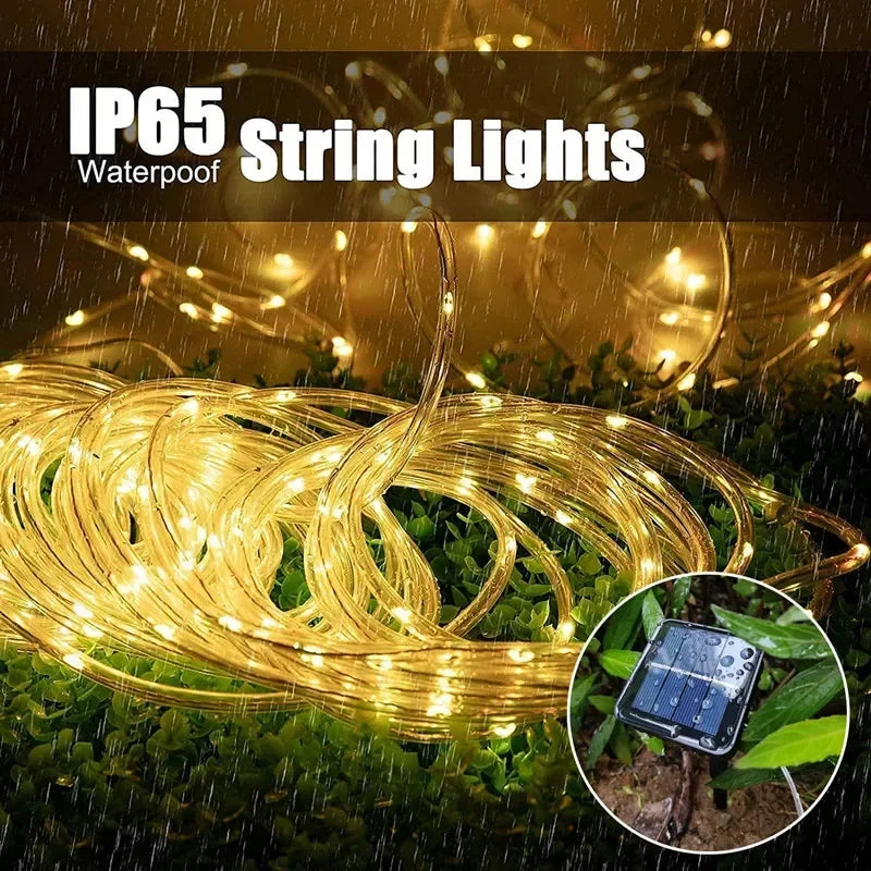 Solar LED Christmas Lights